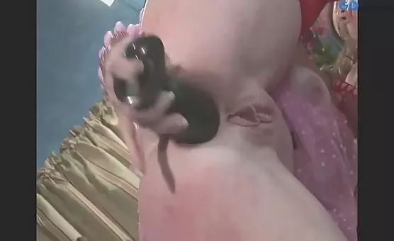 Wet Stockings Lingerie Creampie An anal Cocksucker, Blowjob Fiesta